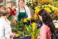 Add Fresh Cut Flowers to This Arrangement