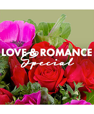 LOVE &amp; ROMANCE SPECIAL designer's choice