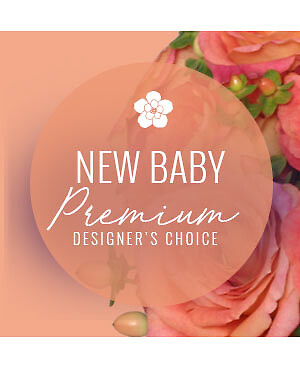 STYLISH NEW BABY designer's choice